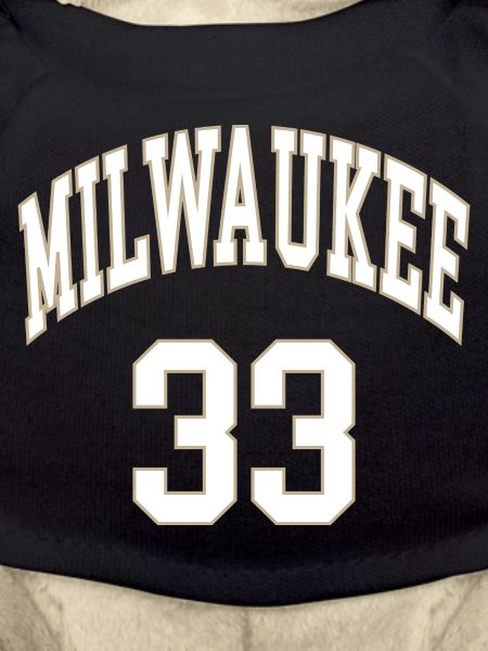 Milwaukee 33