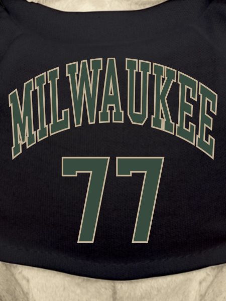 Milwaukee 77