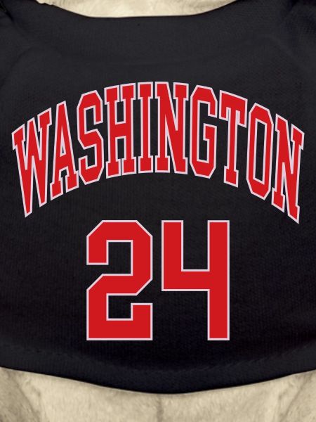 Washington 24