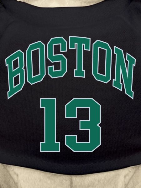 Boston 13
