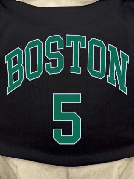 Boston 5