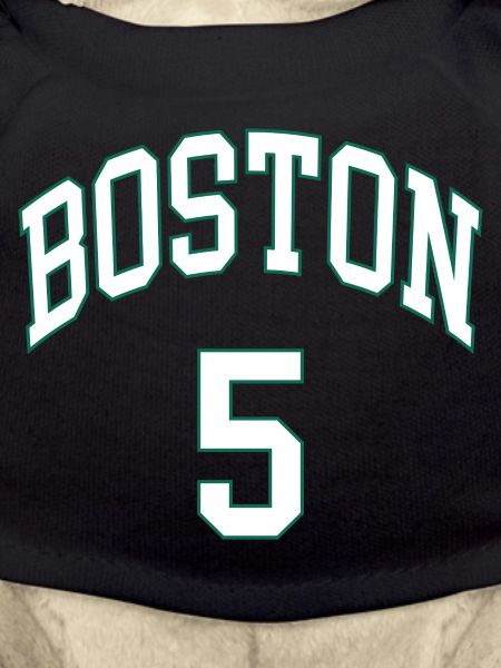 Boston 5