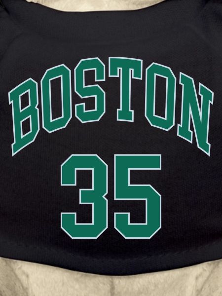 Boston 35