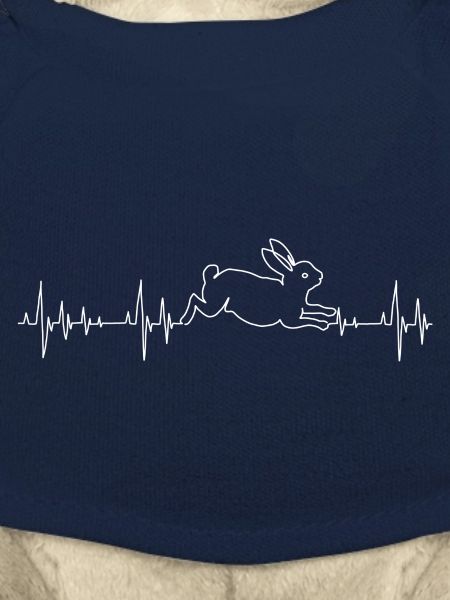 Rabbits