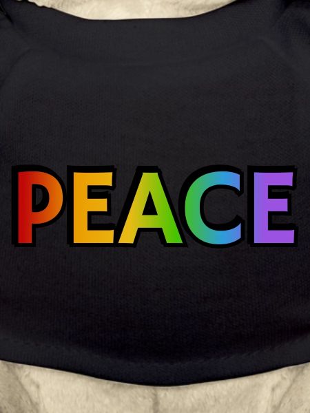 Friedens-Regenbogen