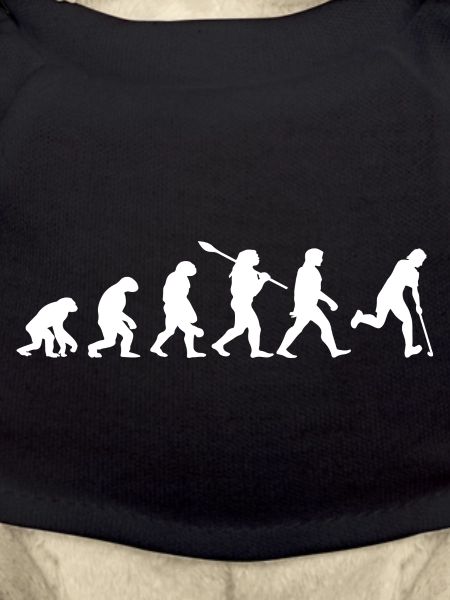 Evolution Hockey