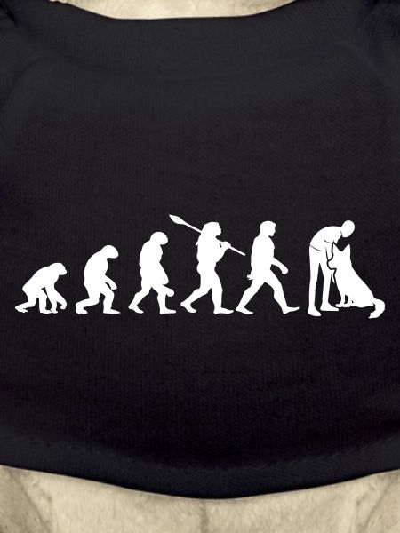 Evolution Lustiger Belgischer Schäferhund Malinois