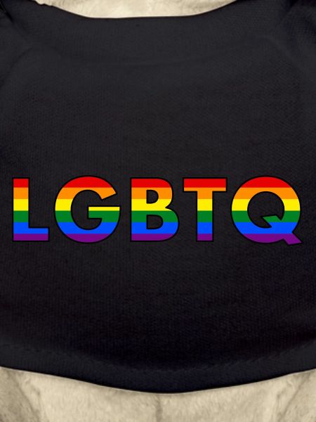 LGBTQ Rainbow Flag