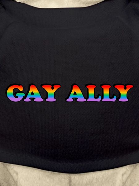LGBTQ ally