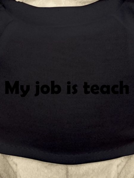 My Job Is Teach