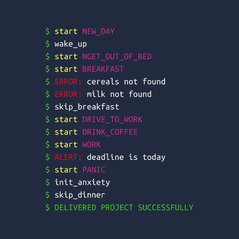 Day in the Life of a Programmer | Coding Geek Gift