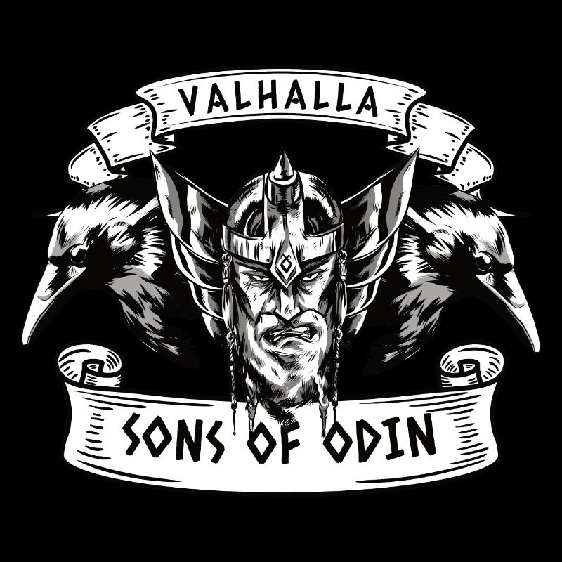 Valhalla Odin Vikings