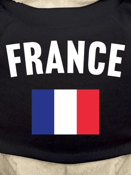 France Flag