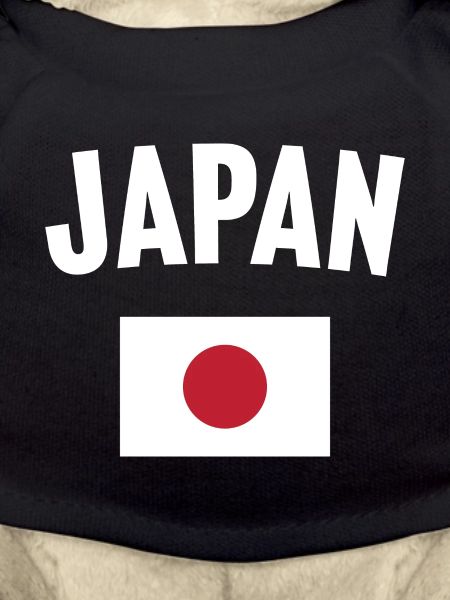 Japan Flag