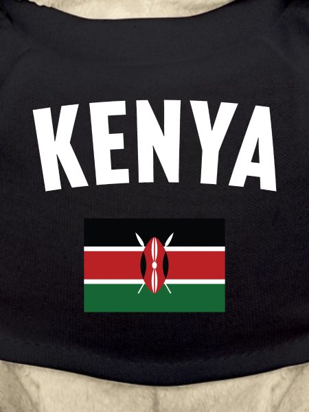 Kenya Flag