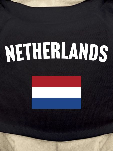 Netherlands Flag