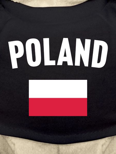 Poland Flag
