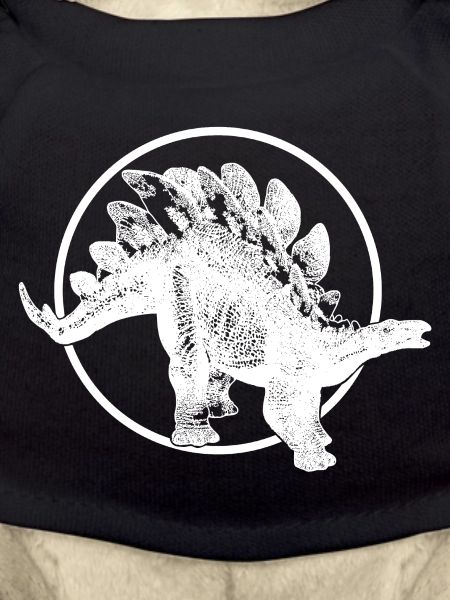 Stegosaurus