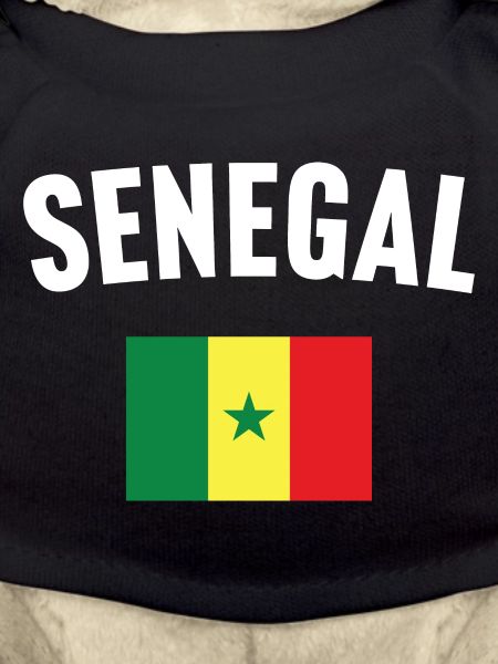 Senegal Flag