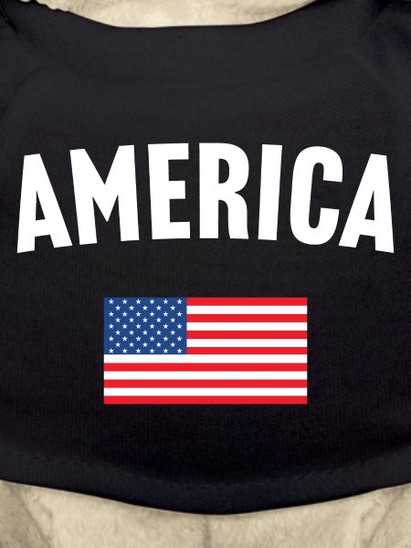 America Flag
