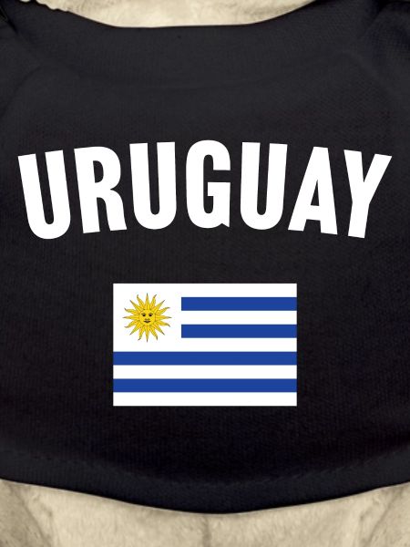 Uruguay Flag