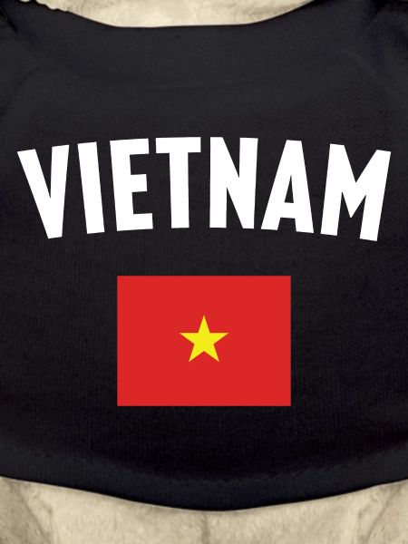 Vietnam Flag