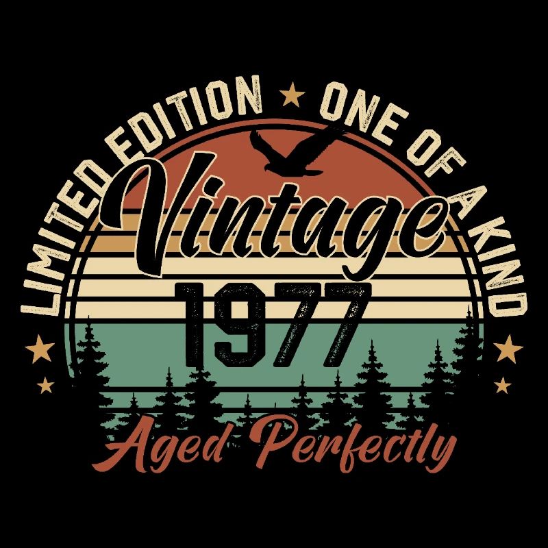 Vintage 1977 Retro 1977 Birthday Gift 1977