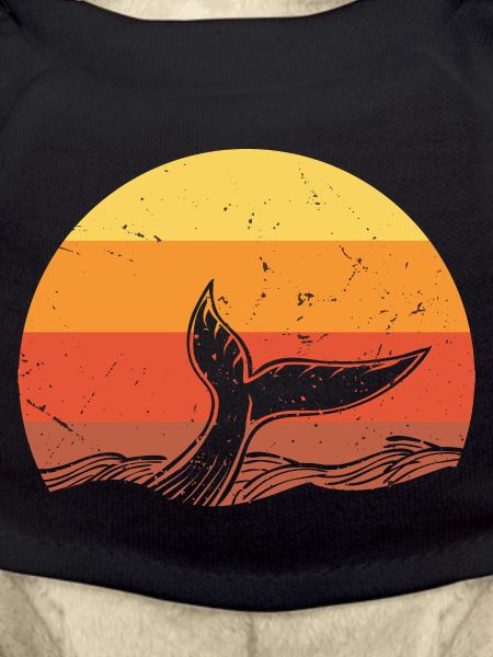 Requin requin - Shark