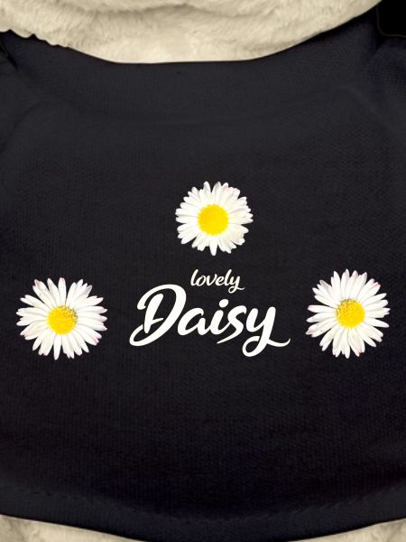 Daisy Goose Flower Spring