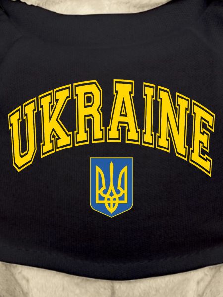 Ukraine Flag