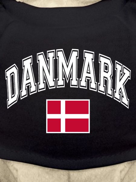 Denmark Flag