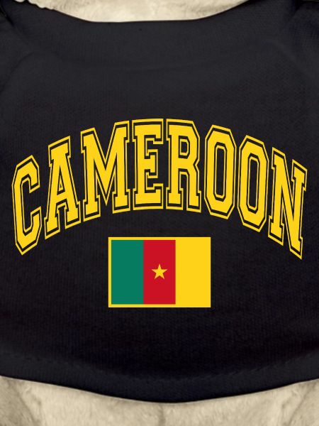 Cameroon Flag