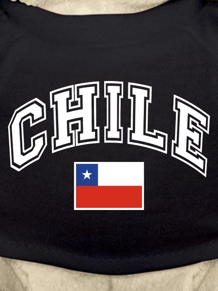 Drapeau du Chili