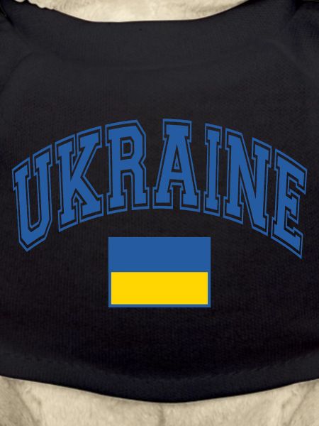 Ukraine Flag