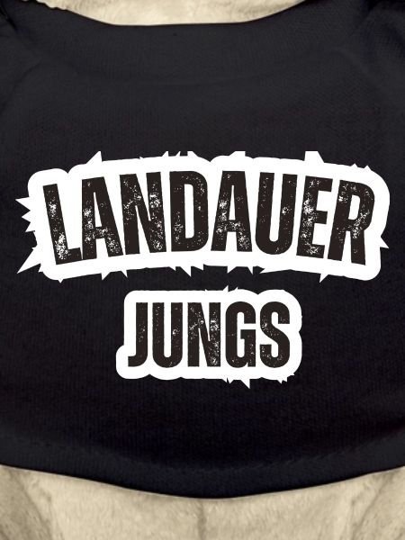 Landauer Boys Palatinate