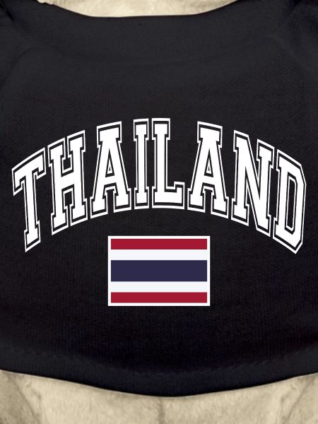 Thailand Flag
