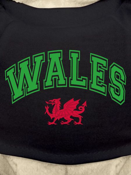 Wales Flag