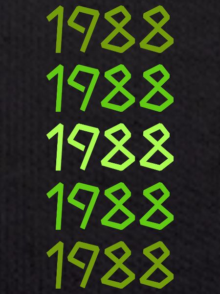 Born in 1988