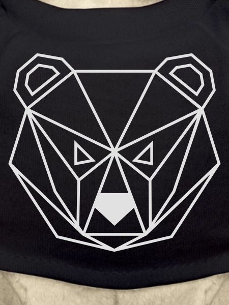 Bear geometric