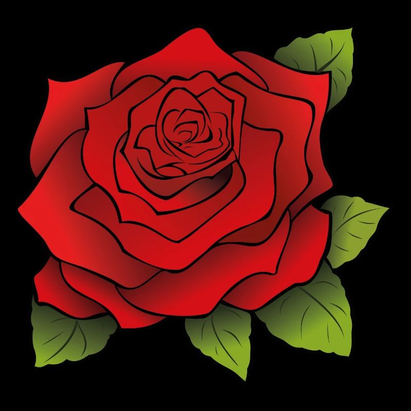 Rote Rose