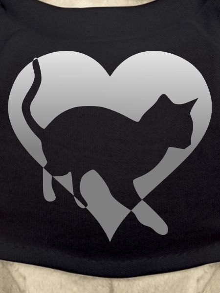 Cat kitten in a heart