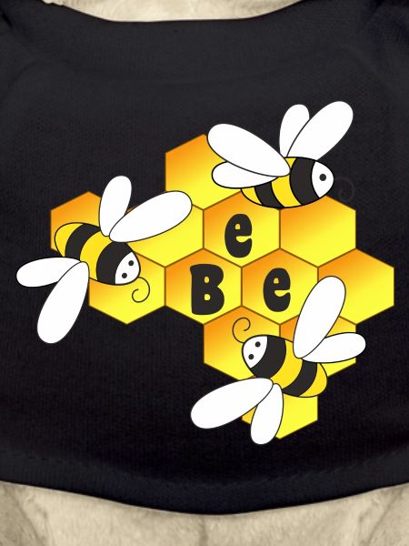 Honey, bee, bees