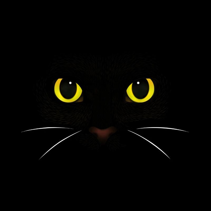 black cat - Purebred cat