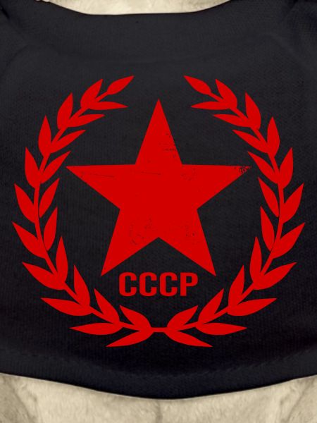 Sowjetunion SSSR Soviet Union