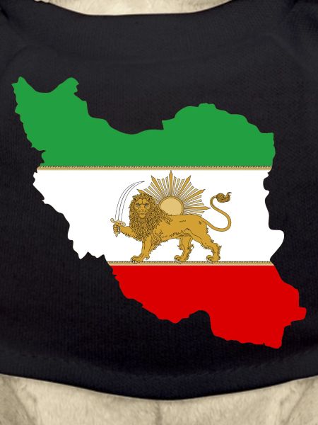 Iran Flag Lion and Sun - شیر خورشید پرچم
