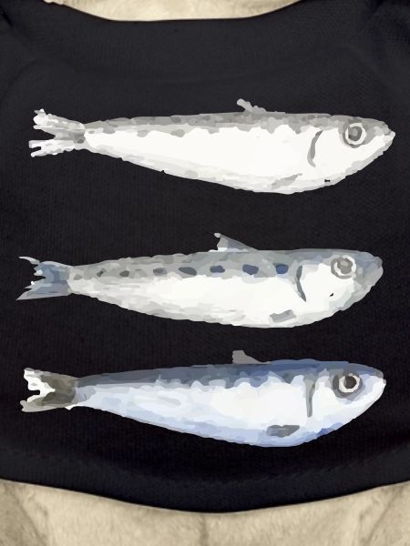 sardine