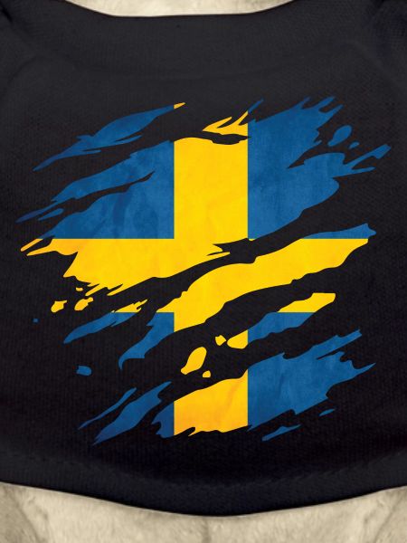 Suède - Drapeau national, rayures, fissures