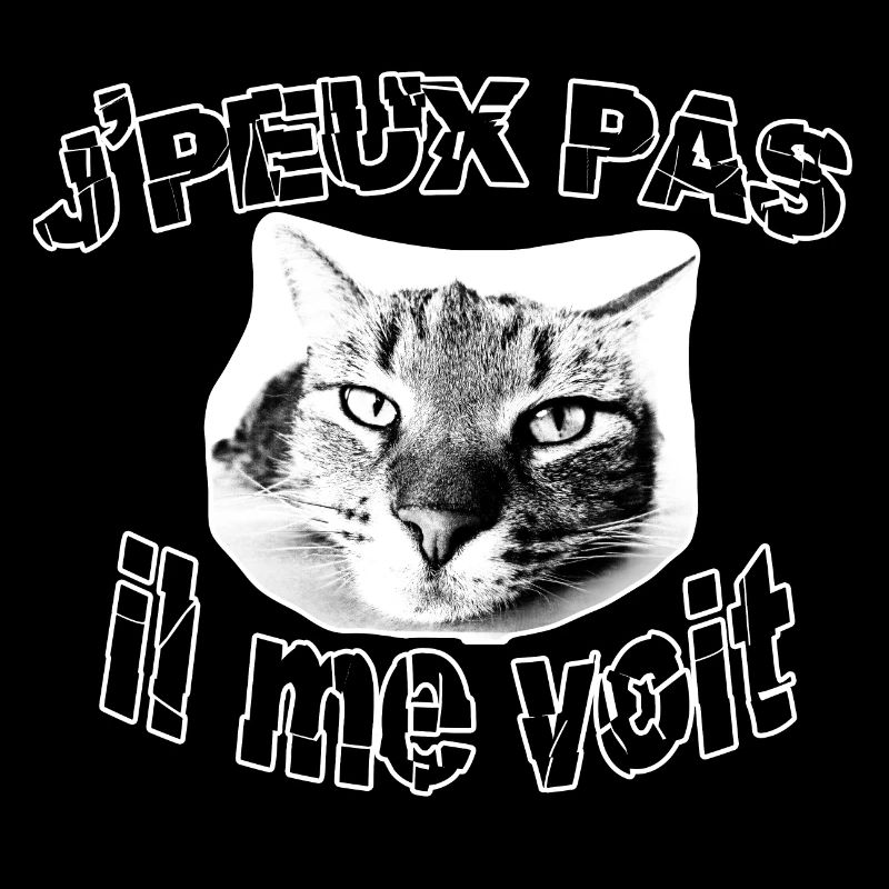 jpeux pas il me voit chat humour blague chat drole