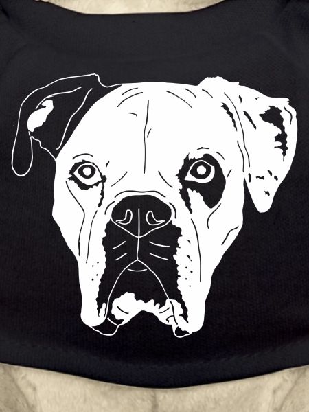 Boxer Mix