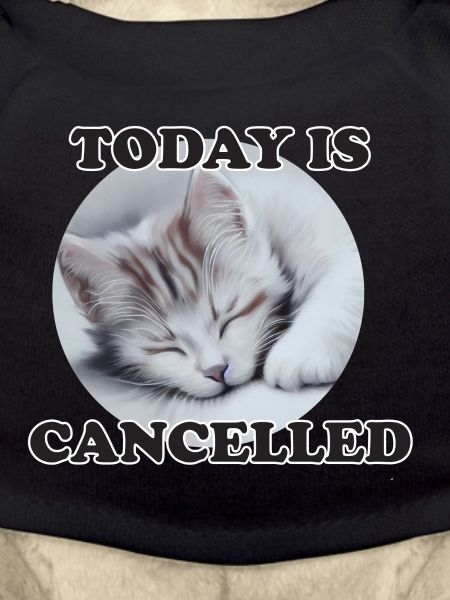 sleeping cat
